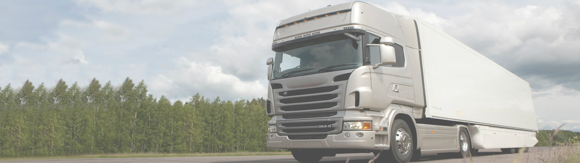 Фиксация весовых и<br>габаритных<br>параметров