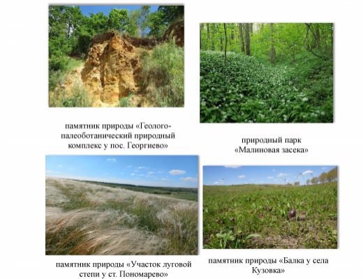 Министерство природных ресурсов и экологии Тульской области запустило опрос об уровне информирования населения Тульской области в части особо охраняемых природных территорий